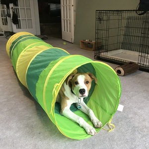 Fundraising Page: Flash Squitiere PAC ALUM